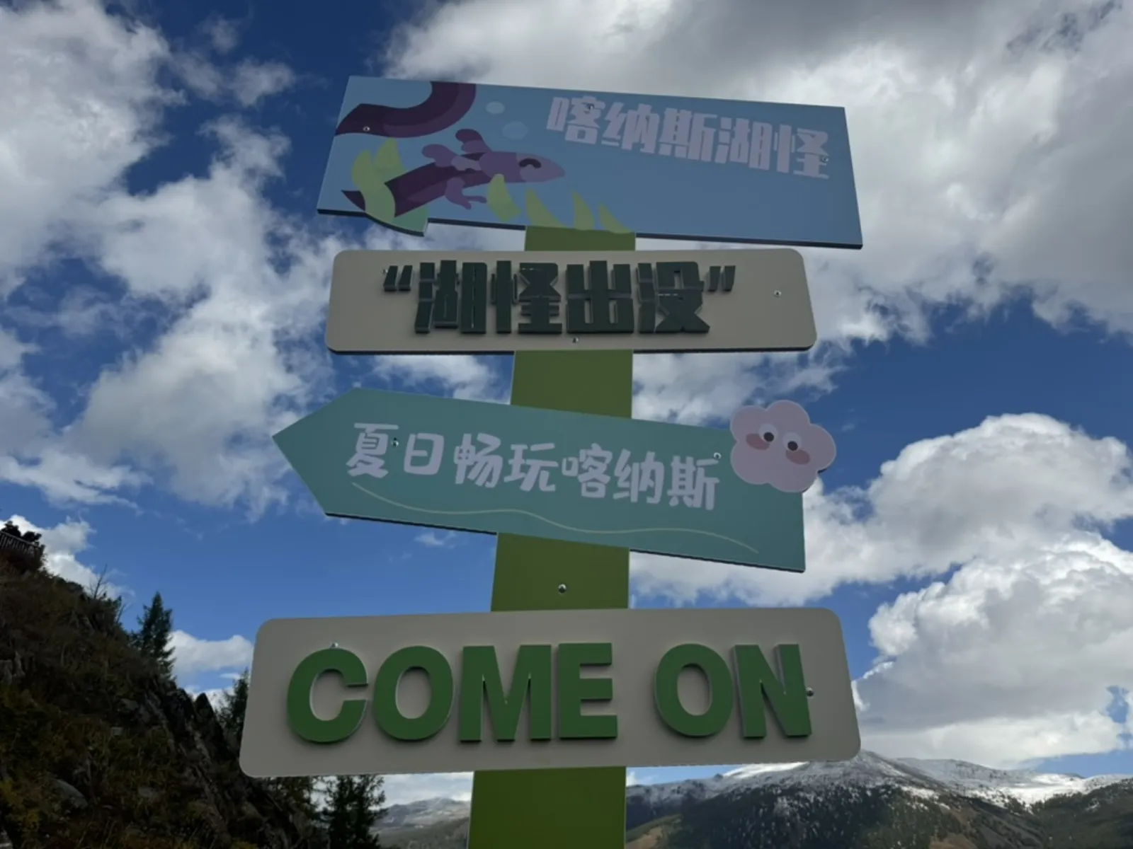 7312C507-9685-4D84-92A6-EEE3D9549541_1_105_c.jpeg